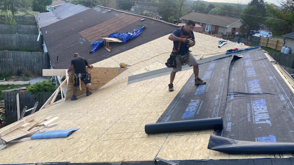 WhatsApp Image 2024-03-19 at 7.19.02 PM